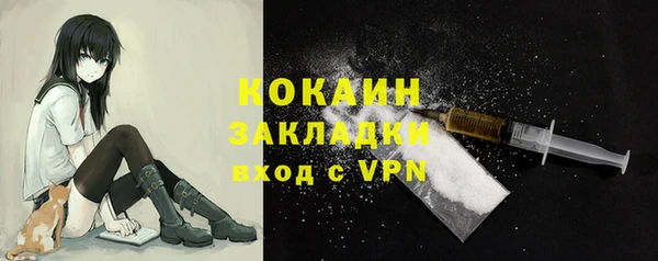 трава Новодвинск