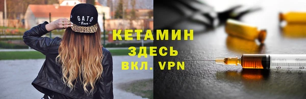сатива Новокубанск