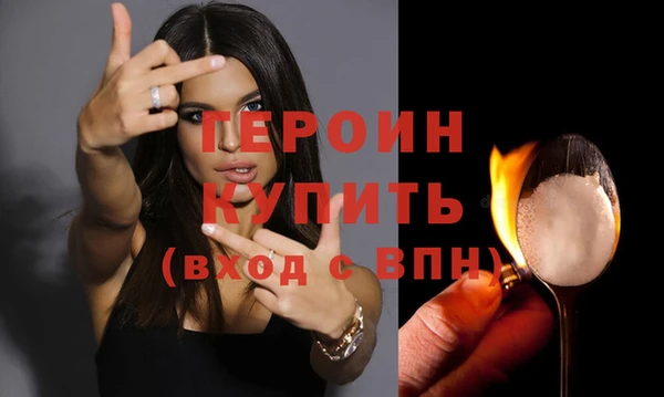 сатива Новокубанск
