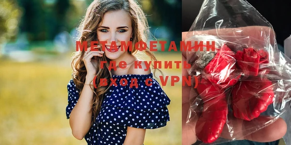 сатива Новокубанск
