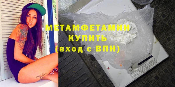 сатива Новокубанск