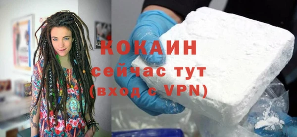 сатива Новокубанск