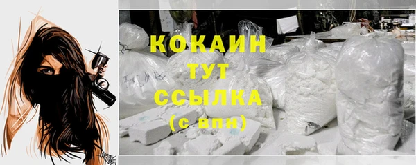 сатива Новокубанск