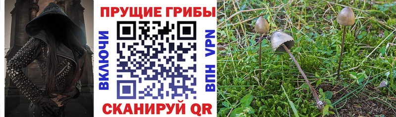 Псилоцибиновые грибы Magic Shrooms Прохладный