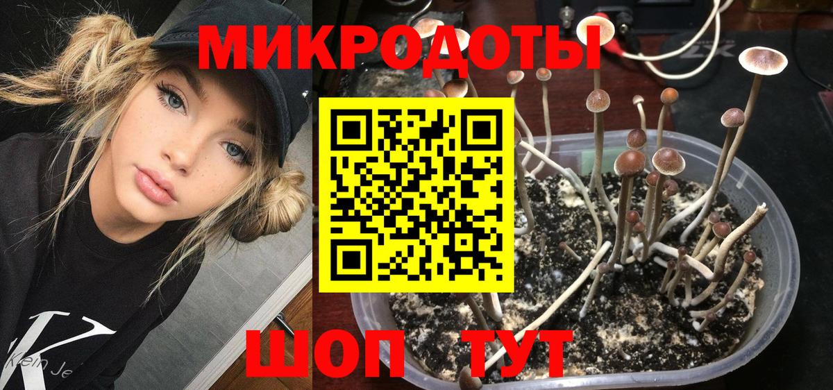 Галлюциногенные грибы Magic Shrooms Прохладный